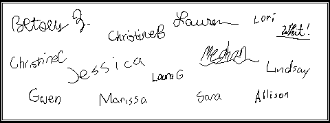 team sigs